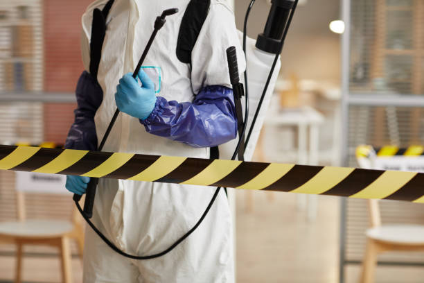 Professional Sewage Cleanup technician working in Porter, TX